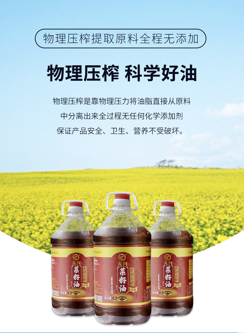 天兴 江西菜籽油低温压榨清香菜籽油冷榨5L优质菜籽原料食用醇香