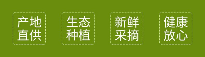 晨鹏鲜居 紫皮冰激凌萝卜脆甜多汁微辣新鲜可口清洗即食