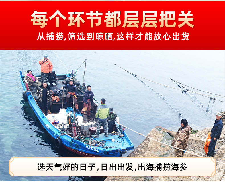 石岛海鲜鲜 干海参100克/盒礼盒装国标底播野生参15倍泡发