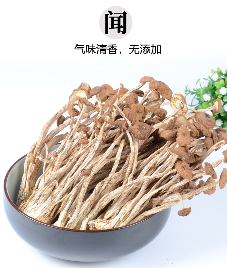 仙滋禾记  茶树菇 100g/袋