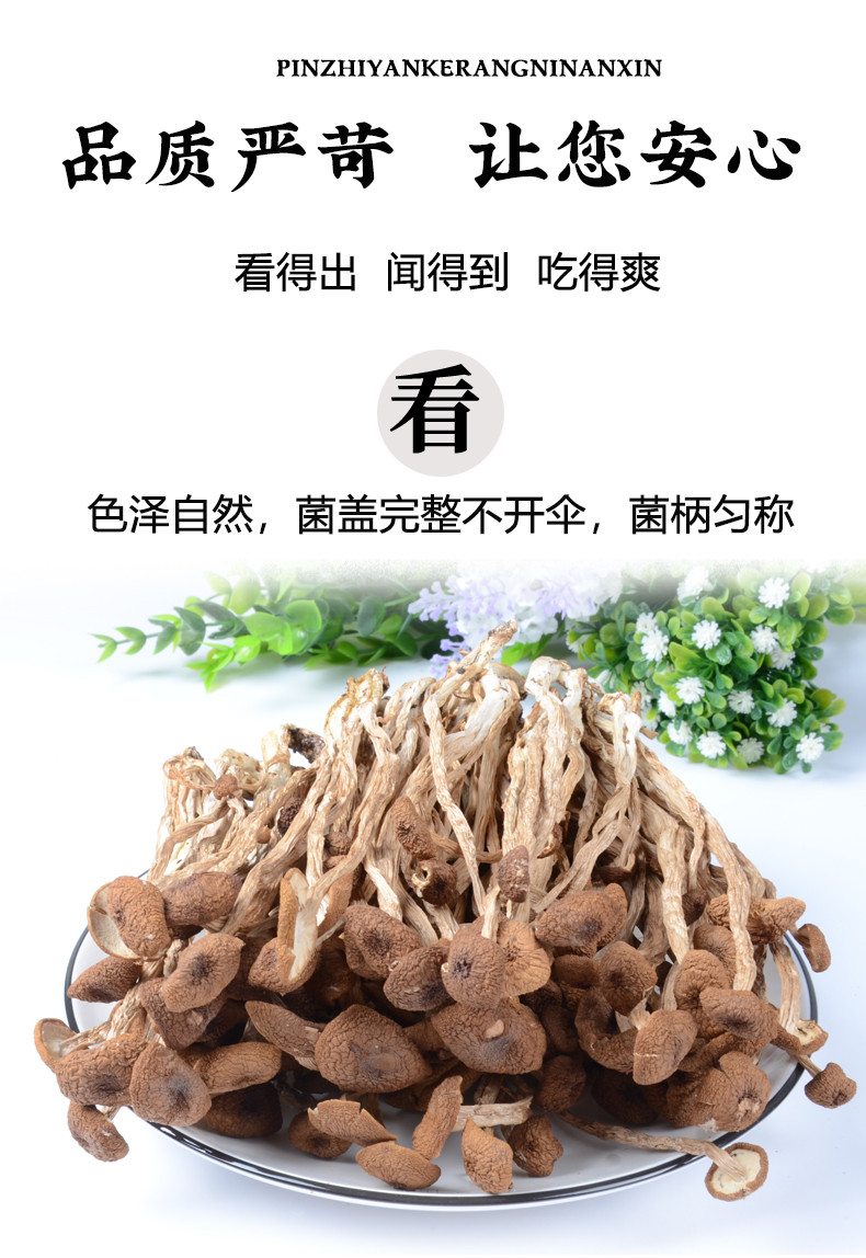 仙滋禾记  茶树菇 100g/袋