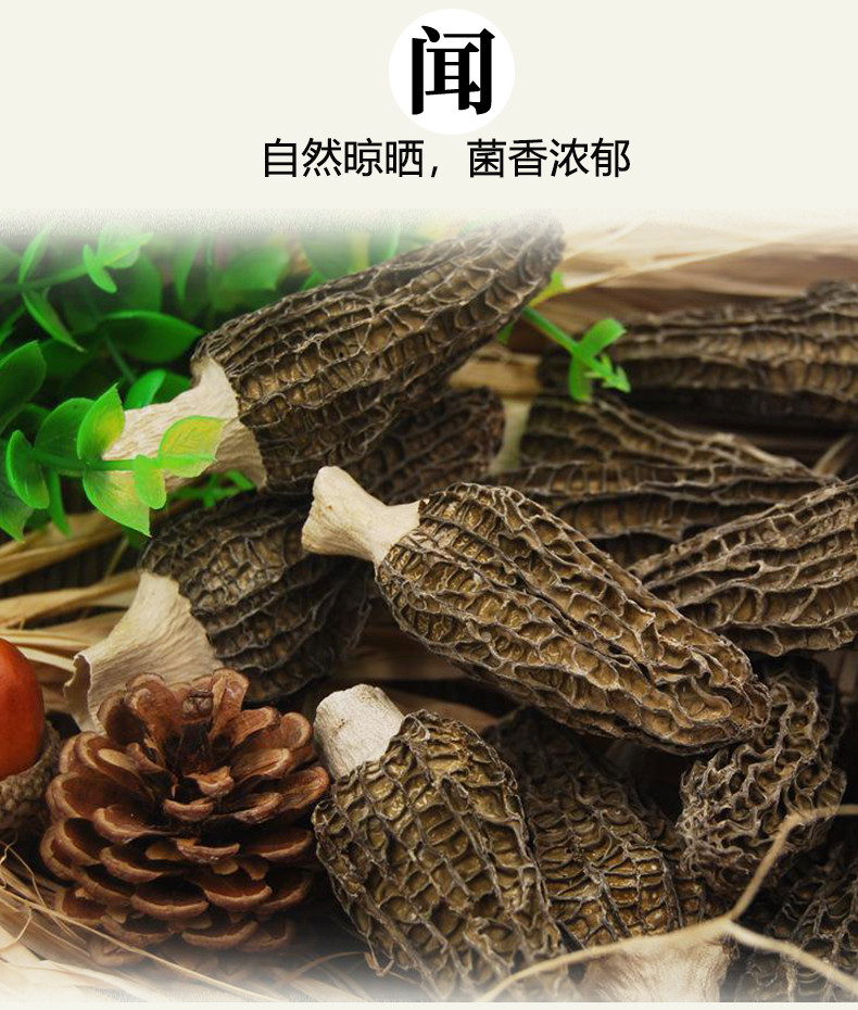 仙滋禾记  羊肚菌 40g/袋