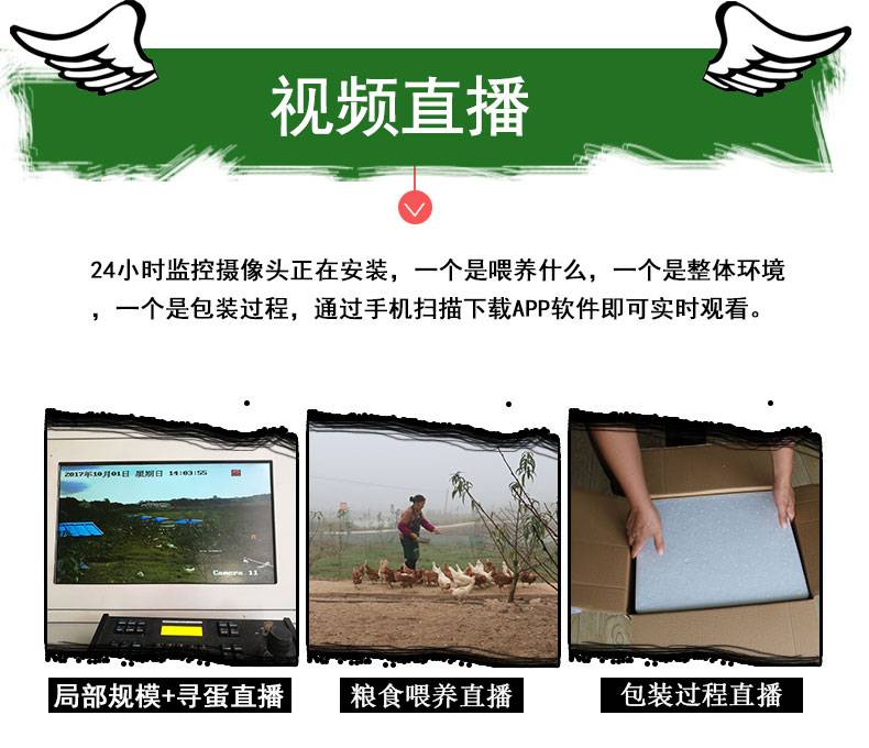 【广安邮政】【岳池特产】32枚高垭口儿童蛋农家散养农村自养笨草柴土鸡蛋鲜鸡蛋新鲜包邮