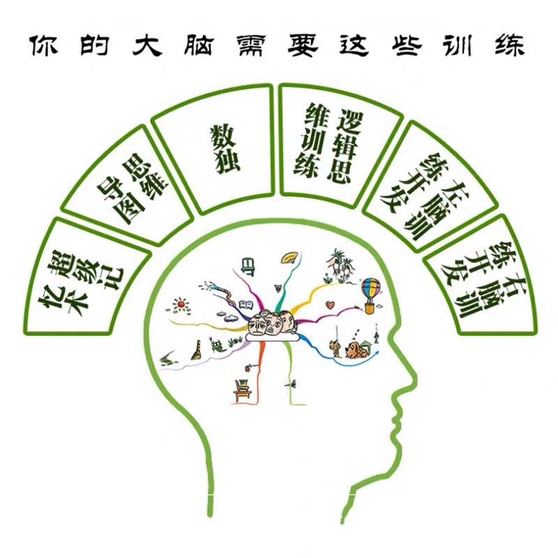 大脑使用书6册记忆力训练书数学智力开发思维导图全脑益智游戏大脑思维书籍逻辑思维训练儿童图书左右脑超