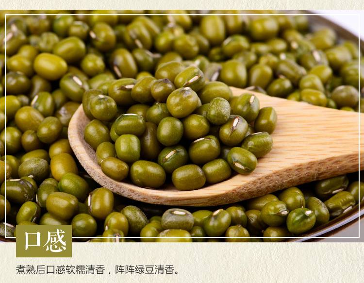 环乡人 【环县乡村振兴馆】环县特产真空包装绿小豆450g