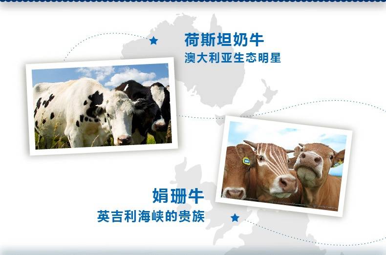 贵州山花利乐纯牛奶250mlX24盒高原生态奶牛健康奶1件包邮