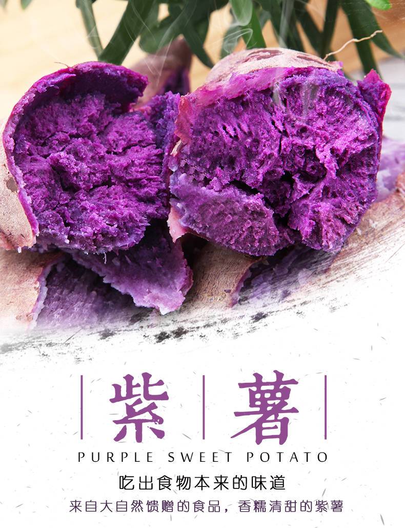 山东沂蒙山紫薯5斤大果新鲜紫薯 包邮香甜粉糯辅食
