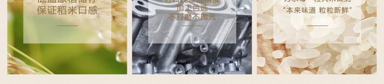 农家贡米东北爆好吃五常长粒香玛丽蒂姆大米新米不抛光3000g共三包