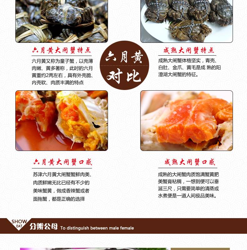 【濮阳消费扶贫】14只礼盒装三斤重九月黄黄河大闸蟹现货鲜活特大螃蟹100克/只KF