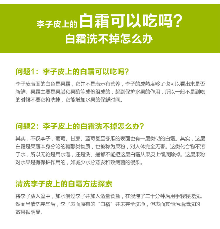 【邮政惠农】邻水青红脆李5斤清脆新鲜脱骨 五月脆凤凰李 基地直采现摘现发