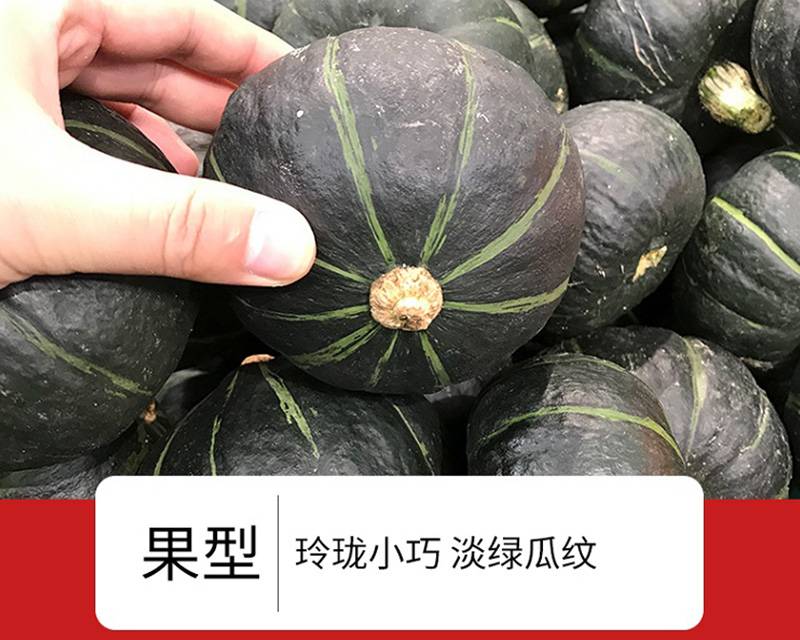 【48小时发货】5斤贝贝南瓜  进口种源  软糯香甜  瓜瓤金黄拉丝饱满  坏果包赔