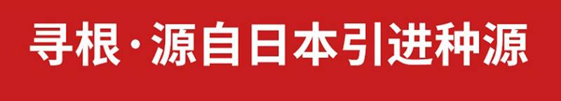 【48小时发货】5斤贝贝南瓜  进口种源  软糯香甜  瓜瓤金黄拉丝饱满  坏果包赔