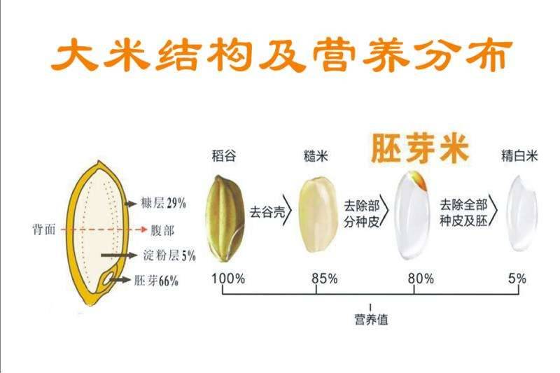 【吉林贡品】8袋长春松花江大米2.5kg五官庄小粒香生态米真空米砖九台贡米吉林