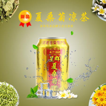 限登封地区下单星群夏桑菊饮料310ml16罐df