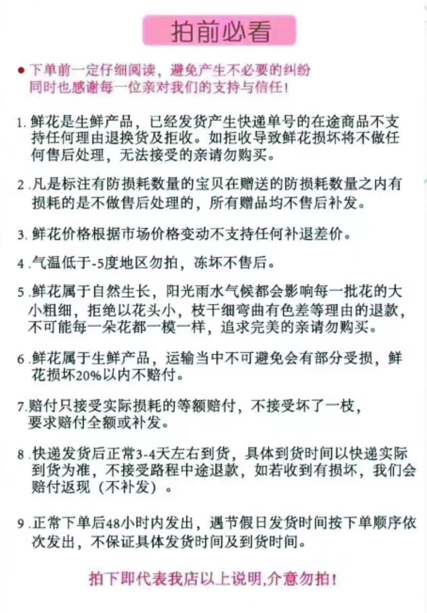 农家自产 云南通海小雏菊鲜切花花束节庆用花礼品花束10枝多头基地直发