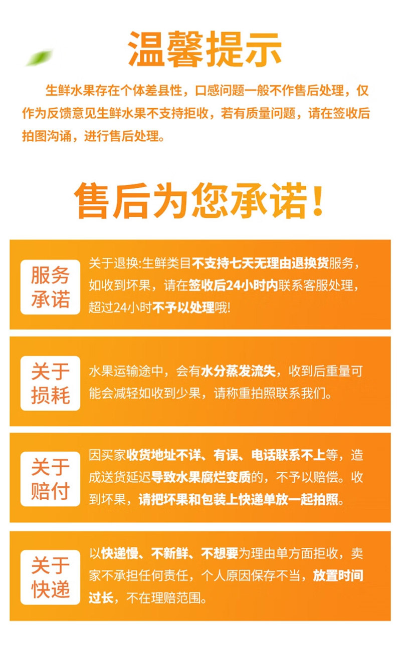 千园千果 “玉中玉”非转基因有机黄糯玉米彩盒量贩装8根净重1.92kg