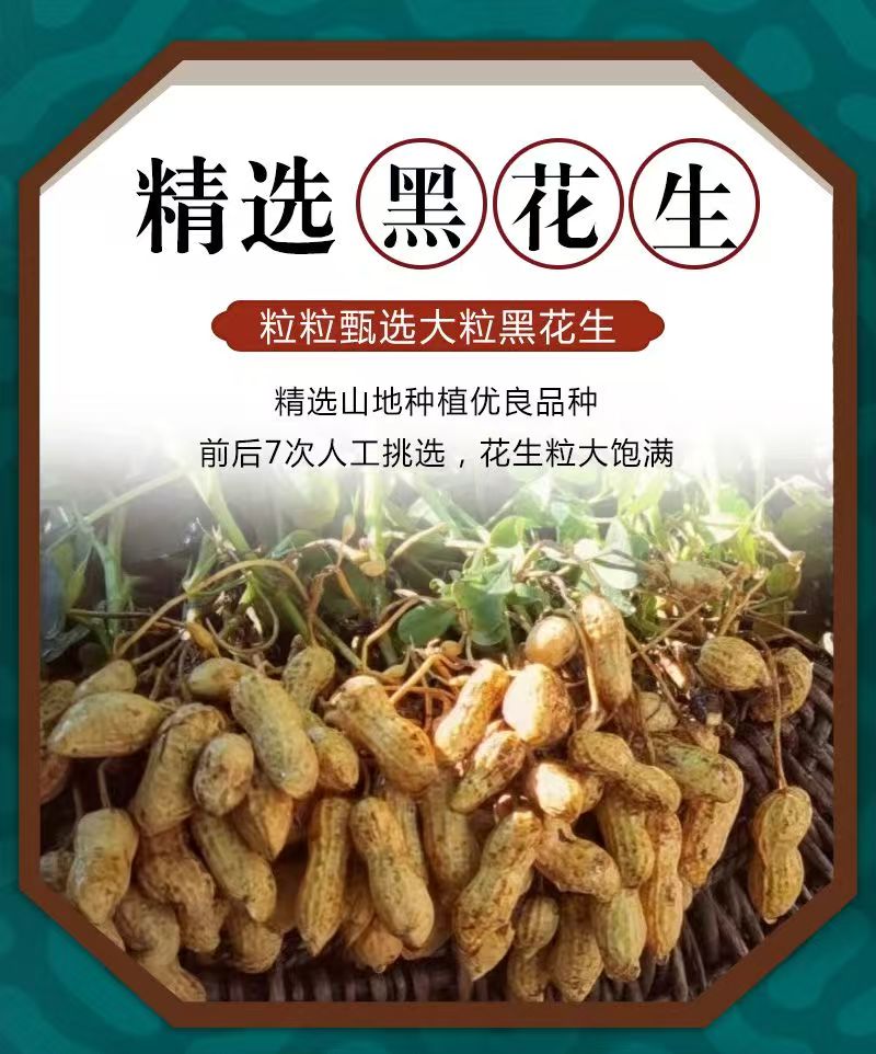 农家自产 云南楚雄禄丰黑花生原味颗粒大饱满【甄选员工福利】