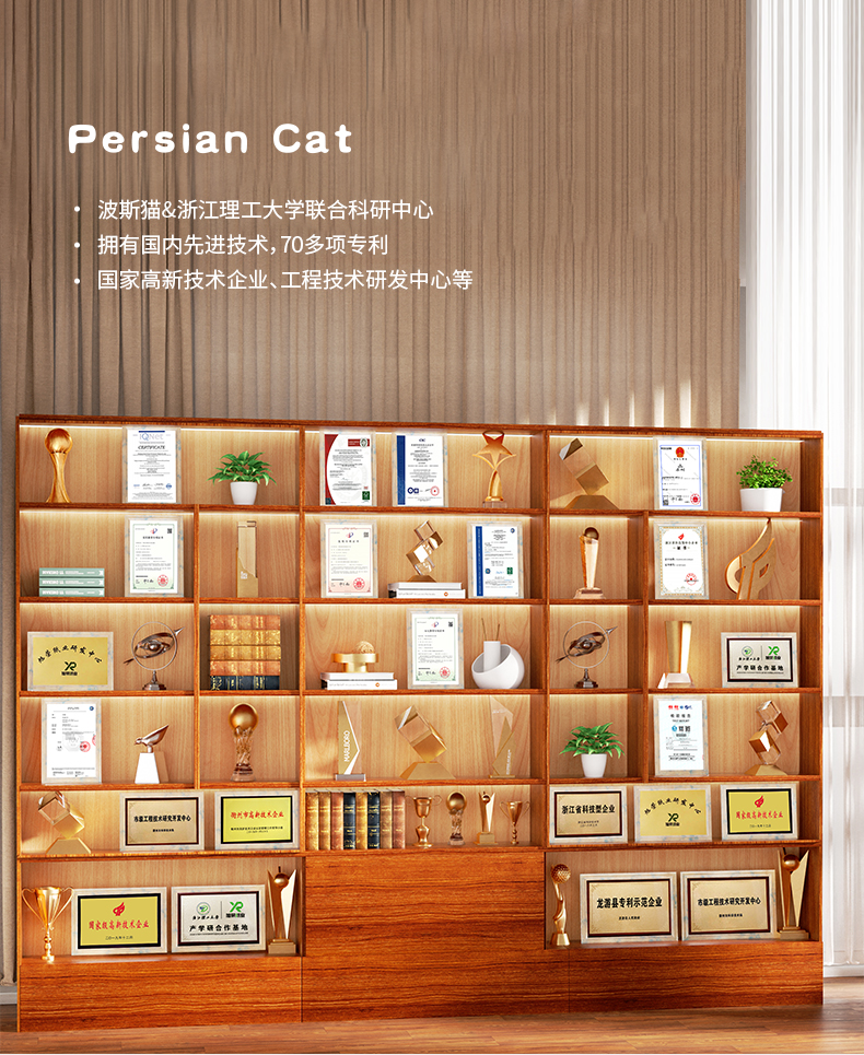 波斯猫(PERSIAN CAT) 4层抽纸卫生纸巾80抽/包*10包雪山森林系列ART-01