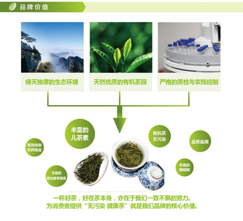 奇松牌 特级毛峰礼盒 丹霞峰 2x100g 礼盒装