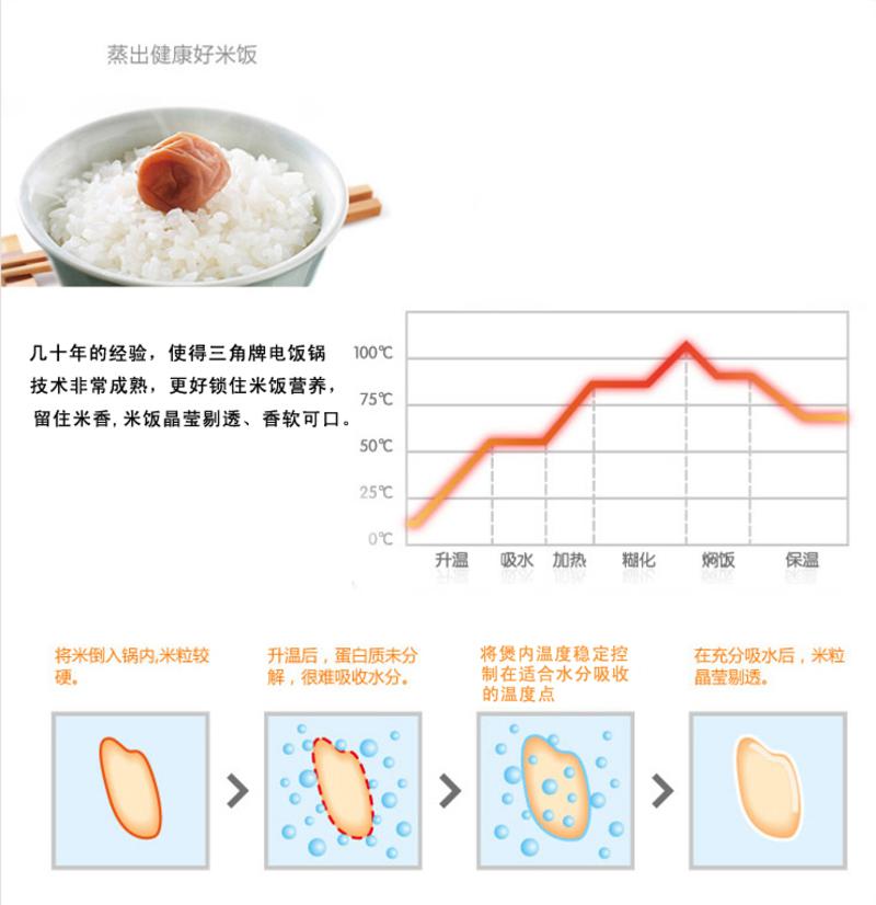 三角 不锈钢电饭锅 CFXB-Z50
