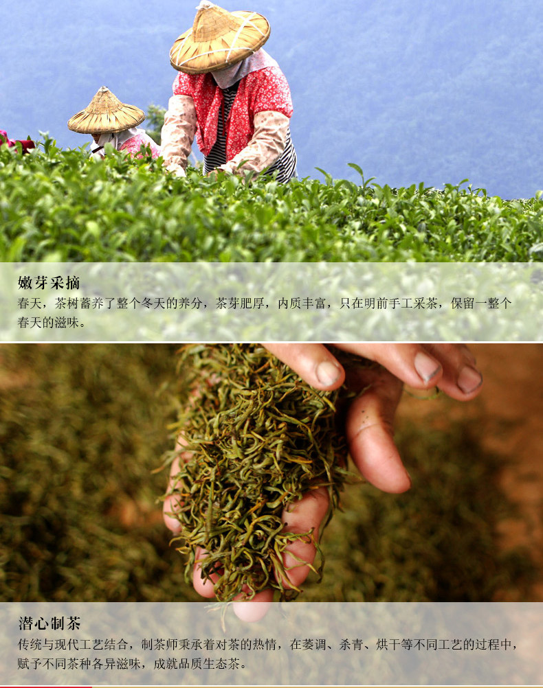 【助力湖北】农夫乡情 静夷2020新茶毛尖茶150g*2礼盒装