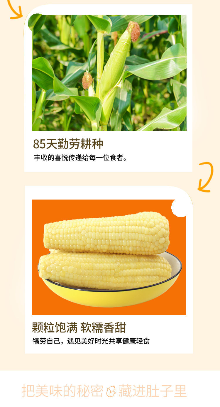 【营养满分】超甜穗康玉米10支装新鲜糯玉米现摘甜糯嫩真空非转基因零添加白糯