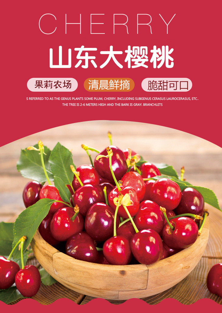 【优鲜团购】山东大樱桃红灯樱桃精品大果头茬现摘现发3斤/5斤装（济宁）