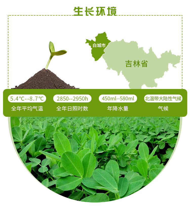 【杂豆】 通榆县满榆东北花生米350g 东北杂粮 非转基因花生米