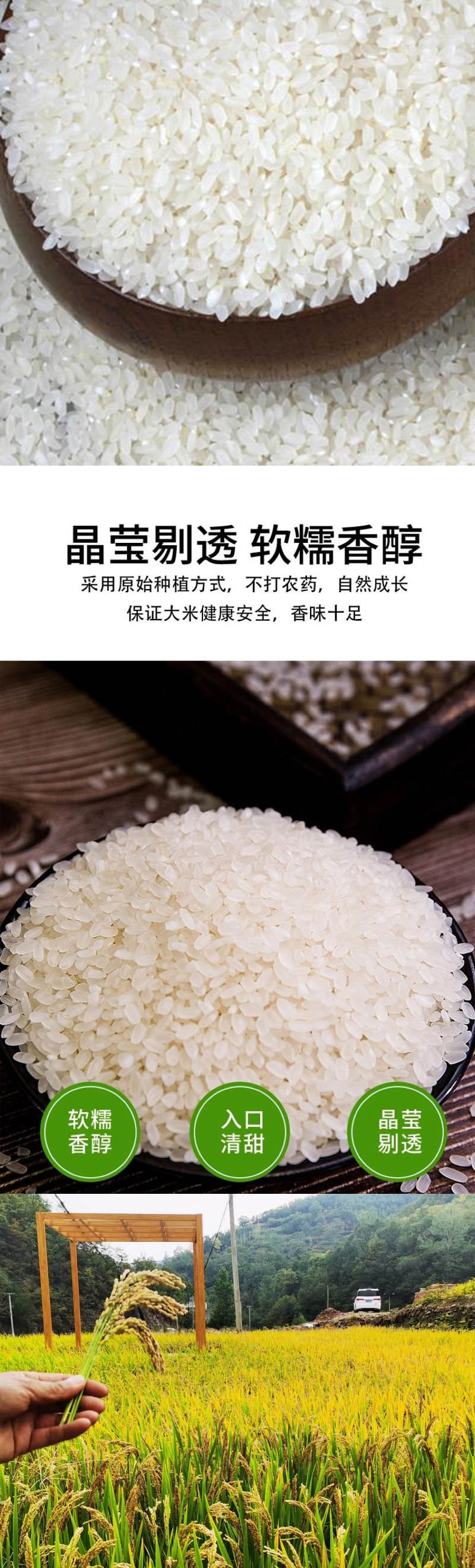  手绘小镇 洛阳农品 农家高品质长粒香大米5kg山泉米