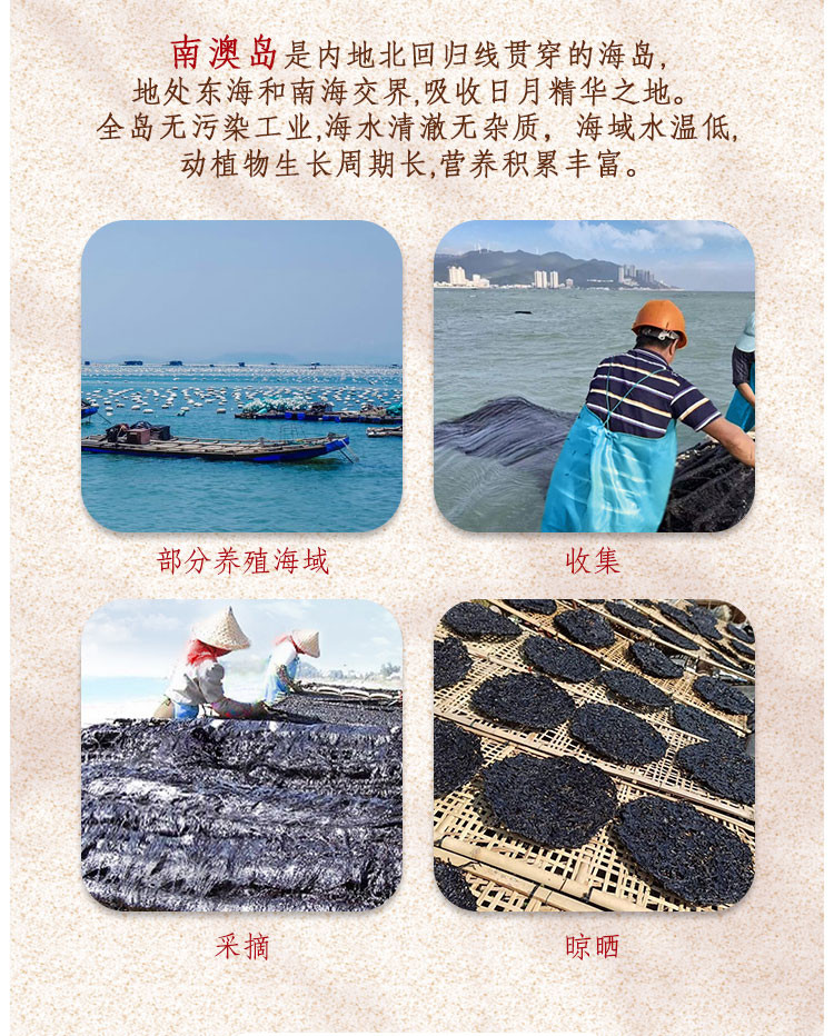 汕珍 【汕头振兴馆】广东南澳海产品  南澳紫菜 汕珍海味 礼盒装 200g