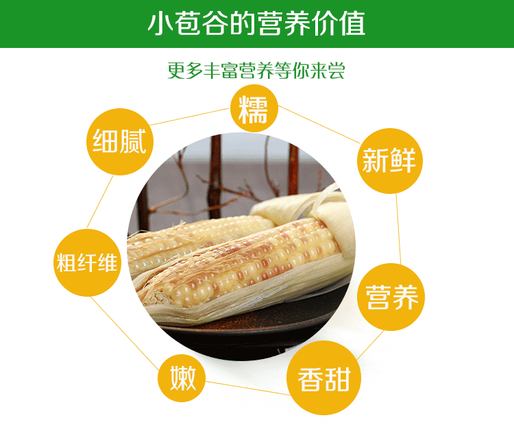 【扶贫助农】云汇丰 版纳小苞谷500g