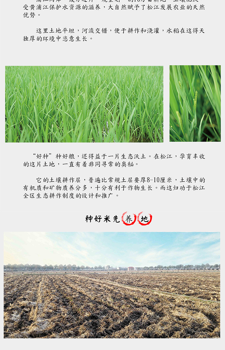  【上海邮政】 邮政农品 松江晚稻米家庭装2.5kg（2023年新米）