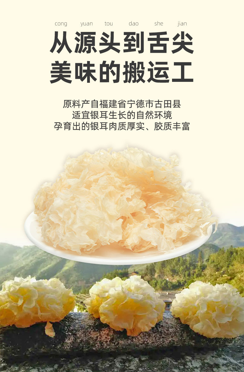  【上海邮政】 塞翁福 仙妍耳礼盒（棕木银耳80g+梨汁冰糖200g）