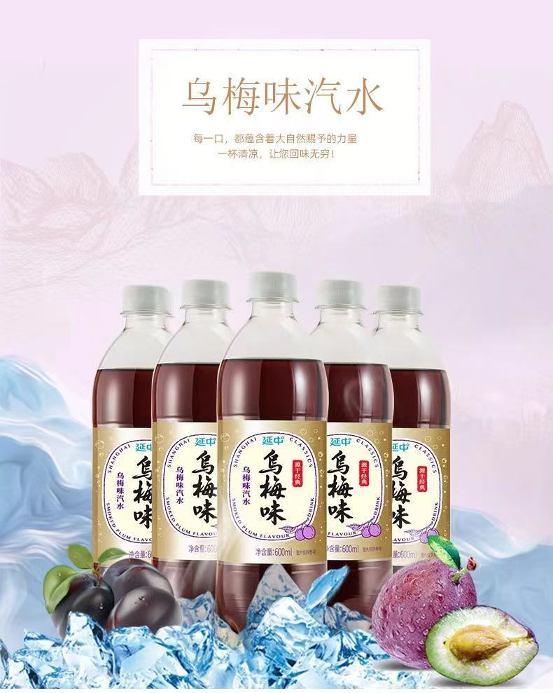  【上海邮政】 延中 乌梅汽水600ml*20瓶