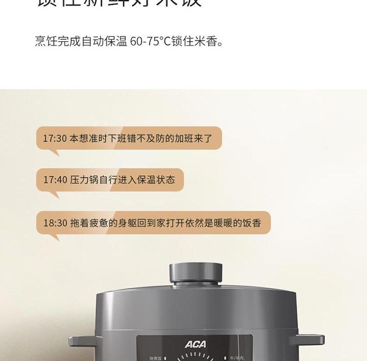 ACA  北美电器 电压力锅 电饭煲压力饭煲 ALY-G50DY04D