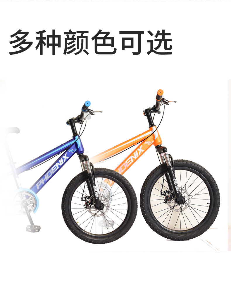 凤凰 20寸高碳钢机械双碟刹学生自行车TT-20