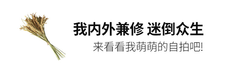 禾煜 东北稻花香大米800g/袋  稻花香大米 新米