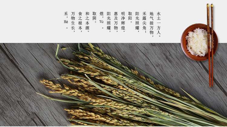 禾煜 东北稻花香大米800g/袋  稻花香大米 新米