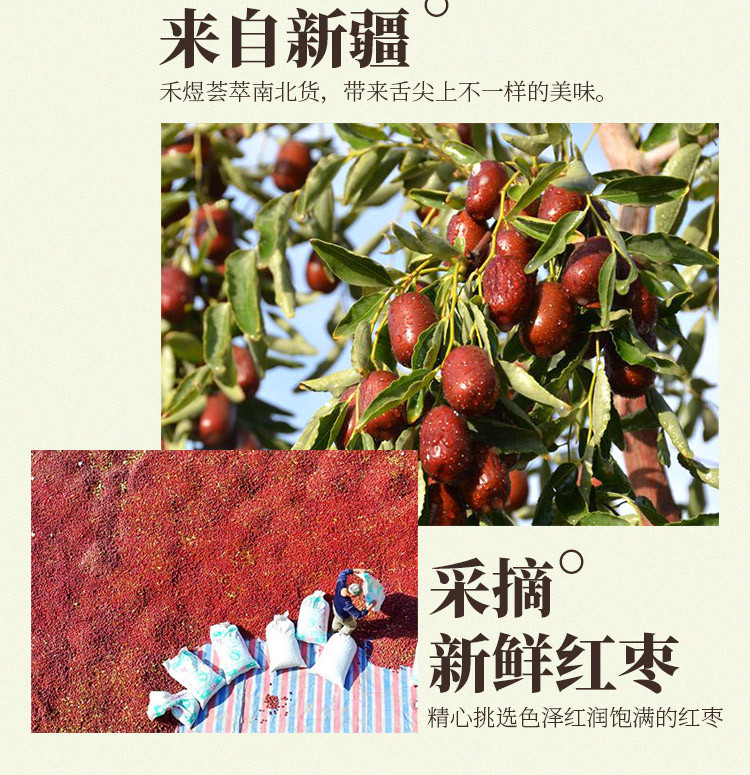 禾煜 若羌红枣100g （新疆特产 灰枣 香枣子 泡茶 煲汤枣）