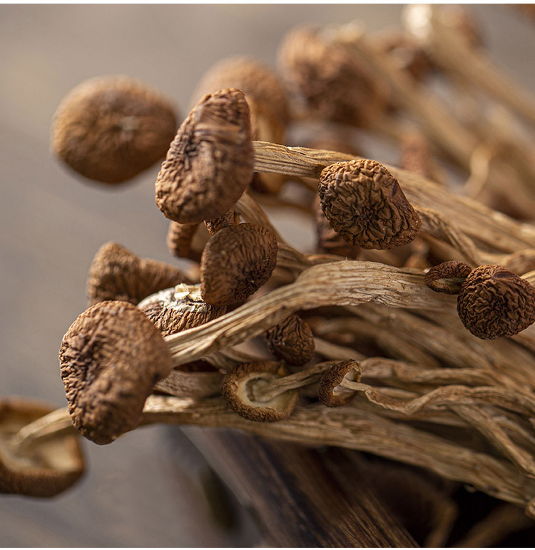 厂家直销 包邮 禾煜 茶树菇200g  猴头菇  福建古田特产 蘑菇菌菇食用菌 山珍南北干货