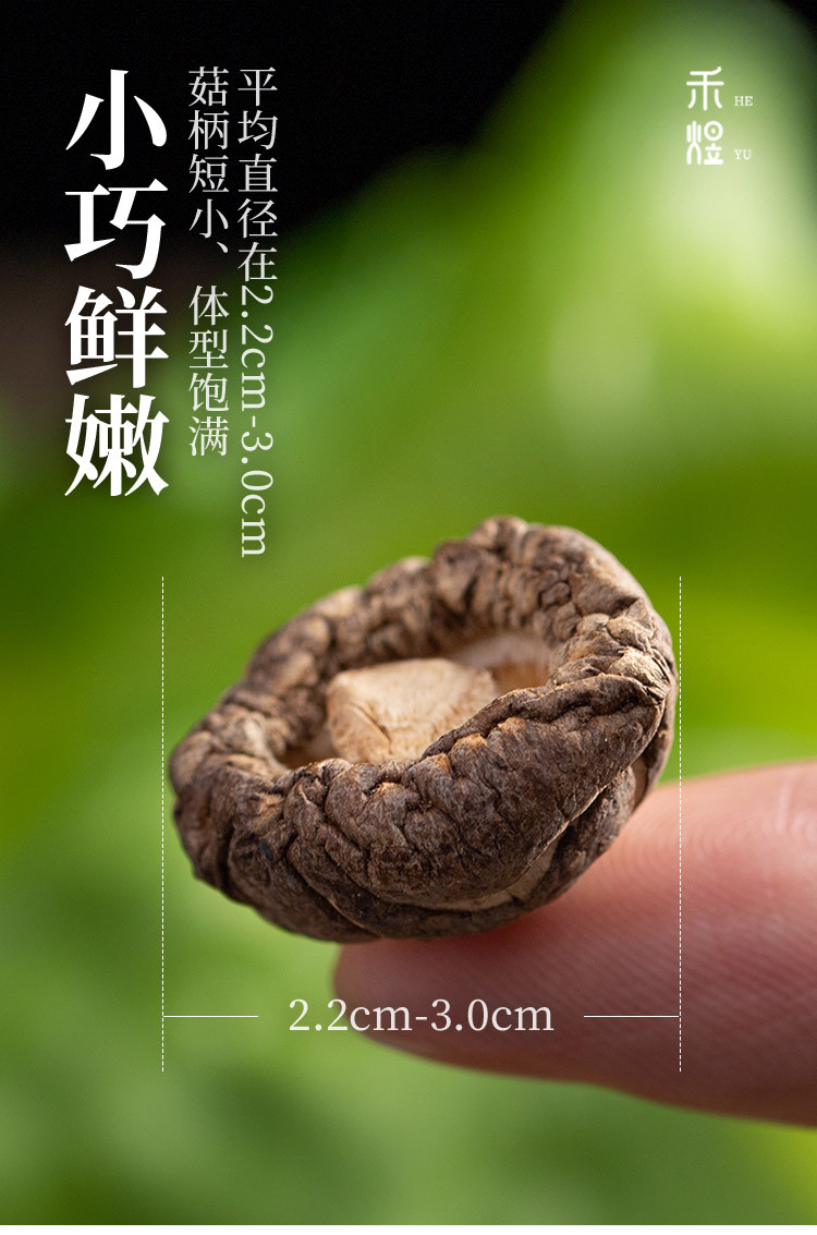 厂家直销 包邮 禾煜 古田珍珠菇200g 古田特产干香菇小香菇金钱菇蘑菇 食用菌菇 煲汤火锅食材