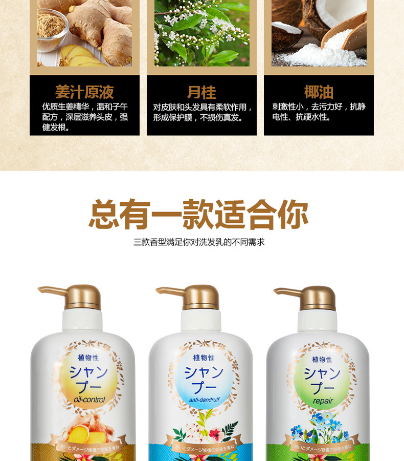 蜜梨（MAT LEE)生姜亮泽柔顺控油洗发乳750ml