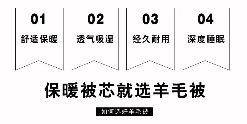  逸轩家纺 新款纯新羊毛冬被芯 200*230