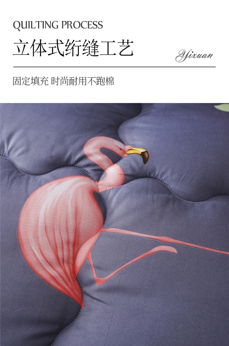  逸轩家纺 加厚冬被秋冬暖绒被芯150*200cm