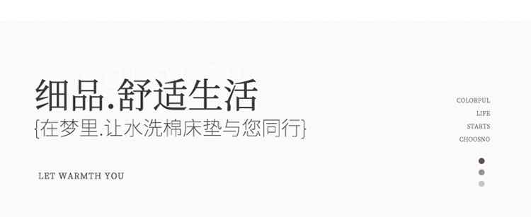 逸轩 逸轩 乳胶床垫学生单人床宿舍 加厚保暖法兰绒床垫90*200cm