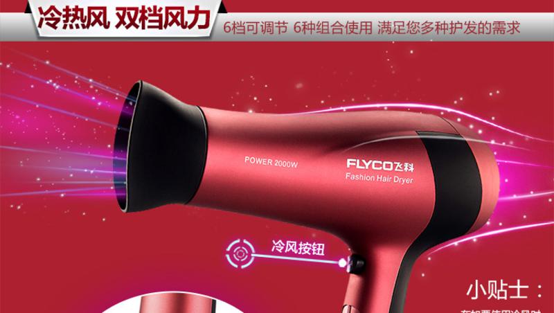 飞科（FLYCO）FH6218专业电吹风1800W大功率 家用静音负离子吹风筒