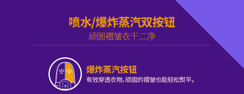 飞科（FLYCO）FI9310家用电熨斗蒸汽熨斗手持挂式迷你电烫斗手持式熨斗