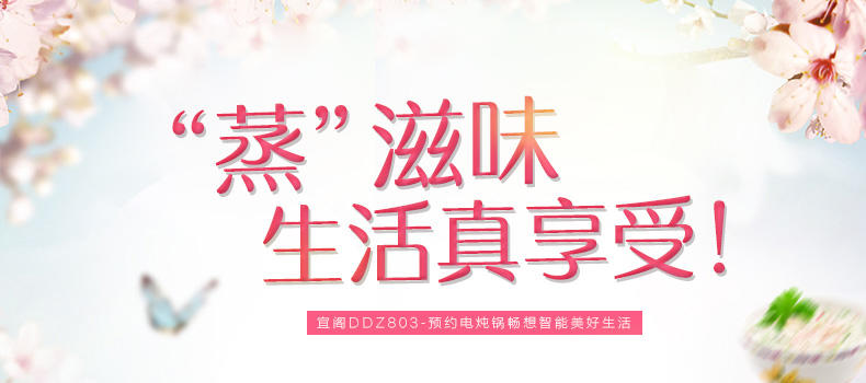 edei宜阁电炖锅 电炖盅 BB煲 煲汤锅