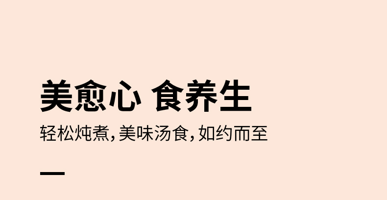 九阳/Joyoung 养生壶多功能家用电热水壶开水煲煮粥、煮茶、煮蛋、滋补汤、冲奶