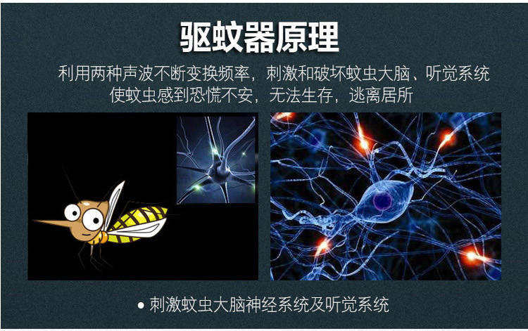 普润 超声波电子驱蚊器驱鼠器智能电子猫干扰驱虫捕鼠器家用-本款40平方有效